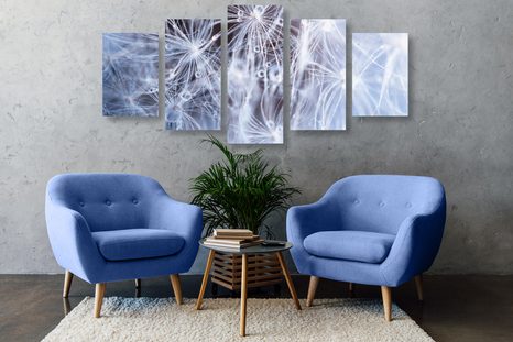 5-PIECE CANVAS PRINT MACRO DANDELION - PICTURES FLOWERS - PICTURES