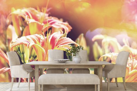 CARTA DA PARATI – FIORI IN GIARDINO - CARTA DA PARATI CON FIORI - CARTA DA PARATI