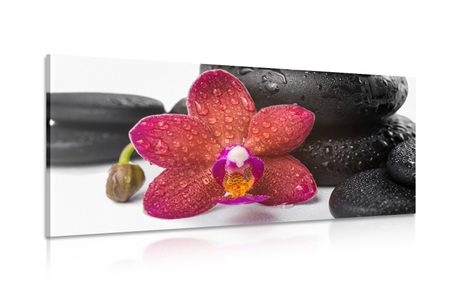 CANVAS PRINT ORCHID AND ZEN STONES ON A WHITE BACKGROUND
