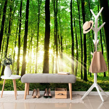 SELF ADHESIVE WALL MURAL FRESHNESS OF THE FOREST