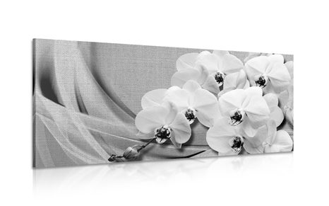 CANVAS PRINT ORCHID ON A CANVAS IN BLACK AND WHITE - BLACK AND WHITE PICTURES - PICTURES