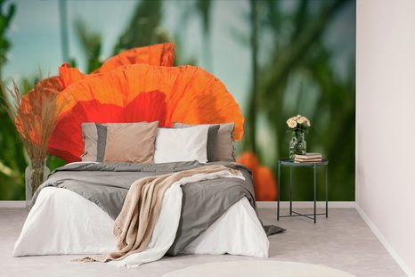 SAMOLEPÍCÍ FOTOTAPETA ČERVENÝ MÁK - SAMOLEPÍCÍ TAPETY - TAPETY