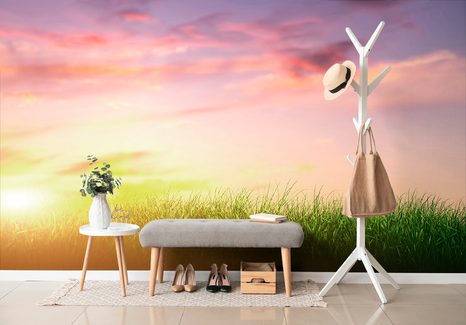 SAMOLEPÍCÍ TAPETA VÝCHOD SLUNCE NAD LOUKOU - SAMOLEPÍCÍ TAPETY - TAPETY