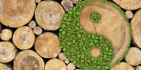 SLIKA JIN IN JANG V EKO IZVEDBI - SLIKE FENG SHUI - SLIKE