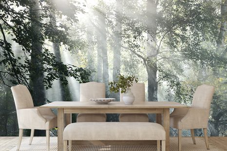 FOTOTAPETA SLUNEČNÍ PAPRSKY V MLHAVÉM LESE - TAPETY PŘÍRODA - TAPETY