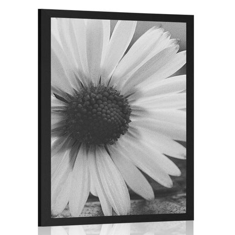 AFFICHE BELLE MARGUERITE EN NOIR ET BLANC - NOIR ET BLANC - AFFICHES