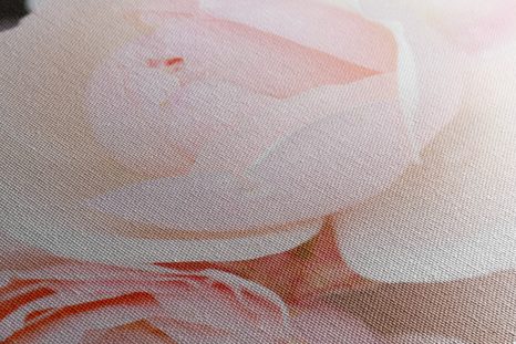 OBRAZ PLNÝ RŮŽÍ - OBRAZY KVĚTŮ - OBRAZY