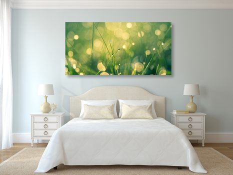 OBRAZ RANNÁ ROSA - OBRAZY PRÍRODY A KRAJINY - OBRAZY