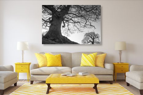 SLIKA SIMBIOZA DREVES V ČRNOBELI IZVEDBI - ČRNOBELE SLIKE - SLIKE