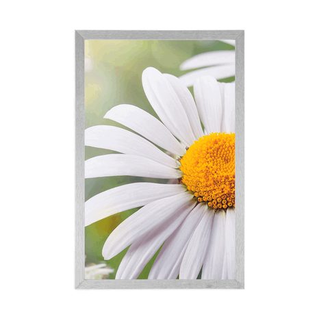 PLAKÁT KVĚTINY KOPRETINY - KVĚTINY - PLAKÁTY