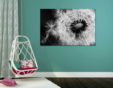 WANDBILD LÖWENZAHNSAMEN IN SCHWARZ-WEISS - SCHWARZ-WEISSE BILDER - BILDER