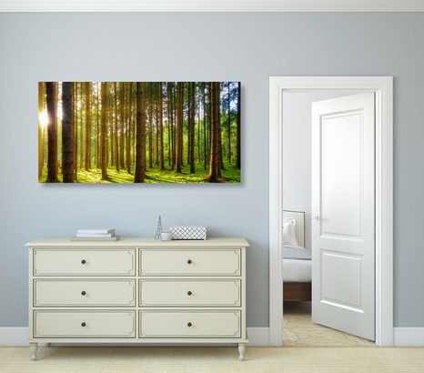 REGGEL AZ ERDŐBEN - TERMÉSZET- ÉS TÁJKÉPEK - KÉPEK