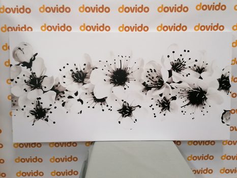 KÉP CSERESZNYE VIRÁG FEKETE FEHÉRBEN - FEKETE-FEHÉR KÉPEK - KÉPEK