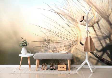 SAMOLEPÍCÍ FOTOTAPETA PAMPELIŠKA PŘI VÝCHODU SLUNCE - SAMOLEPÍCÍ TAPETY - TAPETY