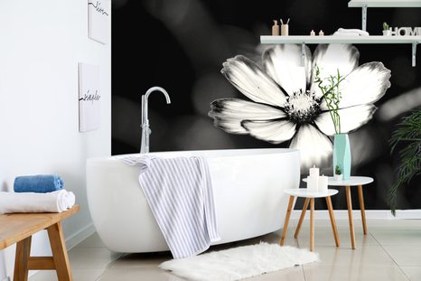 FOTOTAPETA ZAHRADNÍ ČERNOBÍLÝ KVĚT KRASULKY - ČERNOBÍLÉ TAPETY - TAPETY