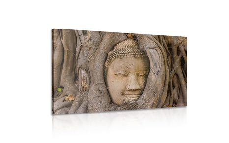 WANDBILD BUDDHAS HEILIGER FEIGENBAUM - BILDER MIT FENG SHUI-MOTIVEN - BILDER