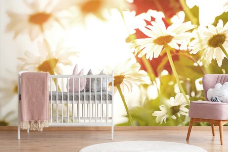 ΑΥΤΟΚΌΛΛΗΤΗ ΤΟΙΧΟΓΡΑΦΊΑ ΜΑΓΙΚΈΣ ΜΑΡΓΑΡΊΤΕΣ - ΑΥΤΟΚΌΛΛΗΤΕΣ ΤΑΠΕΤΣΑΡΊΕΣ - ΤΑΠΕΤΣΑΡΊΕΣ