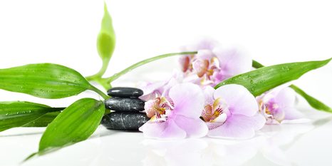 OBRAZ ZÁTIŠÍ S ZEN KAMENY - OBRAZY FENG SHUI - OBRAZY