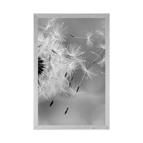 POSTER – SOFFIONE MAGICO IN BIANCO E NERO - NERO E BIANCO - POSTER