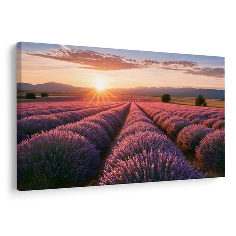 TABLEAU SUR TOILE – SOLEIL AU-DESSUS D’UN CHAMP DE LAVANDE - TABLEAUX DE CHAMPS ET PRAIRIES - TABLEAUX