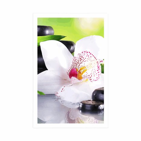 POSTER JAPANISCHE ORCHIDEE - FENG SHUI - POSTER