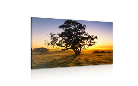 КАРТИНА НА ПЛАТНО – САМОТНО ДЪРВО ПРИ ЗАЛЕЗ - КАРТИНИ НА ПРИРОДАТА И ПЕЙЗАЖИ - КАРТИНИ
