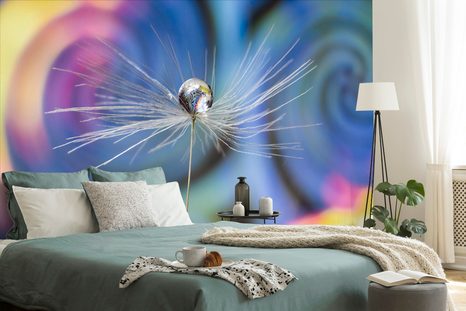 TAPETA KAPKA ROSY NA BAREVNÉM POZADÍ - TAPETY KVĚTINY - TAPETY