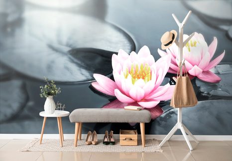 SAMOLEPÍCÍ FOTOTAPETA LOTOSOVÝ KVĚT V JEZEŘE - SAMOLEPÍCÍ TAPETY - TAPETY