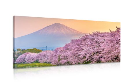 CANVAS PRINT BEAUTIFUL JAPAN - PICTURES OF NATURE AND LANDSCAPE - PICTURES