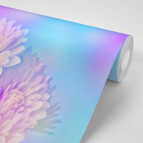 TAPETE BLUME DER CHRYSANTHEME - TAPETEN MIT BLUMENMOTIVEN - TAPETEN