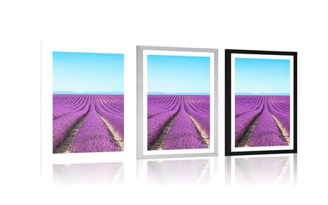 AFFICHE – CHAMP DE LAVANDE INFINI - NATURE - AFFICHES