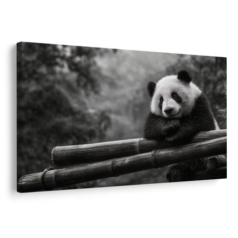 OBRAZ PANDA ODPOČÍVAJÍCÍ NA BAMBUSU - OBRAZY ZVÍŘAT - OBRAZY