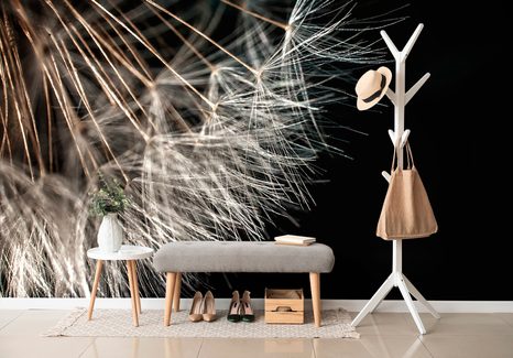 SAMOLEPÍCÍ FOTOTAPETA KRÁSA PAMPELIŠKY - SAMOLEPÍCÍ TAPETY - TAPETY