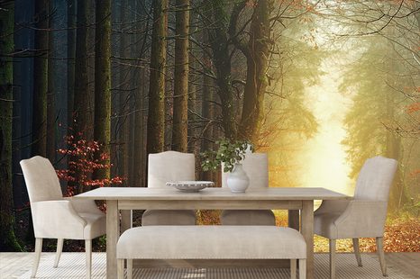 CARTA DA PARATI – SENTIERO NEL BOSCO - CARTA DA PARATI NATURA - CARTA DA PARATI