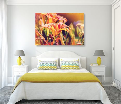 OBRAZ KRÁSNÉ KVETOUCÍ KVĚTINY V ZAHRADĚ - OBRAZY KVĚTŮ - OBRAZY