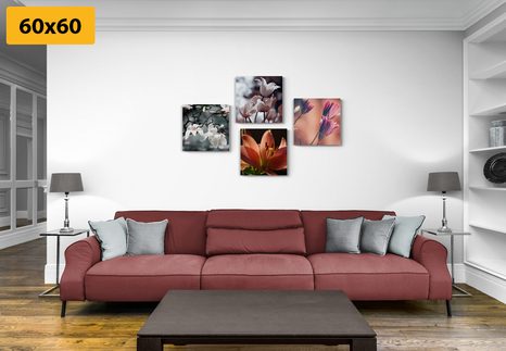 ΣΕΤ ΕΙΚΌΝΩΝ ΤΡΥΦΕΡΌΤΗΤΑ ΤΩΝ ΛΟΥΛΟΥΔΙΏΝ - ΣΎΝΟΛΟ ΠΊΝΑΚΕΣ - ΠΊΝΑΚΕΣ