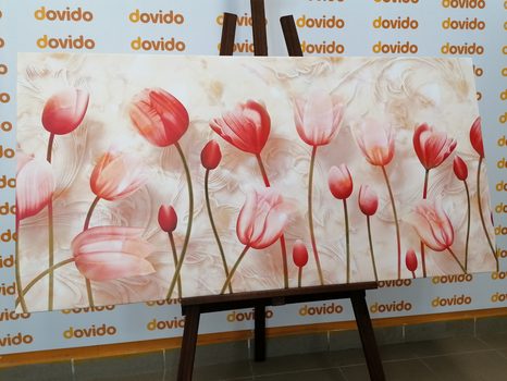 WANDBILD ALTROSA TULPEN - BILDER BLUMEN - BILDER