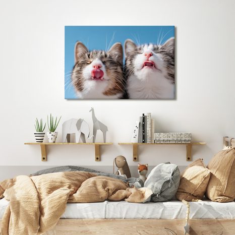 OBRAZ HRAVÉ KOČKY NA MODRÉM POZADÍ - OBRAZY KOČKY - OBRAZY