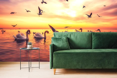 ΤΑΠΕΤΣΑΡΊΑ ΚΎΚΝΟΙ ΣΤΗ ΛΊΜΝΗ - ΤΑΠΕΤΣΑΡΊΑ ΖΏΩΝ - ΤΑΠΕΤΣΑΡΊΕΣ