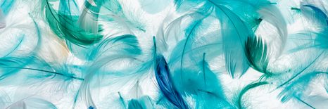 CANVAS PRINT GREEN FEATHERS - STILL LIFE PICTURES - PICTURES