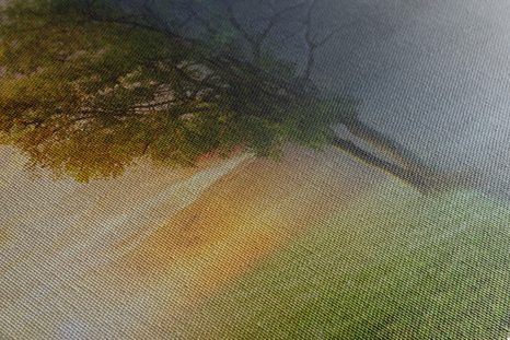 КАРТИНА НА ПЛАТНО – ДЕН И НОЩ - КАРТИНИ НА ПРИРОДАТА И ПЕЙЗАЖИ - КАРТИНИ