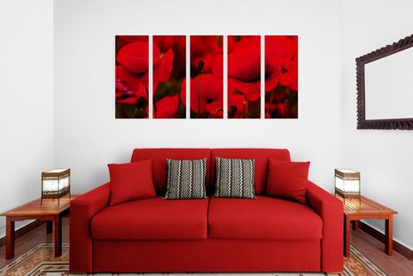 5-DÍLNÝ OBRAZ POLE DIVOKÝCH MÁKŮ - OBRAZY KVĚTŮ - OBRAZY