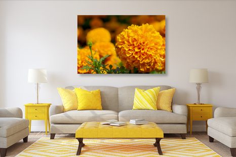 OBRAZ AZTÉCKÝ MĚSÍČEK - OBRAZY KVĚTŮ - OBRAZY