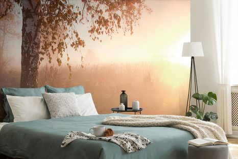 ΤΟΙΧΟΓΡΑΦΊΑ ΟΜΙΧΛΏΔΕΣ ΦΘΙΝΟΠΩΡΙΝΌ ΔΆΣΟΣ - ΤΑΠΕΤΣΑΡΊΑ ΦΎΣΗ - ΤΑΠΕΤΣΑΡΊΕΣ