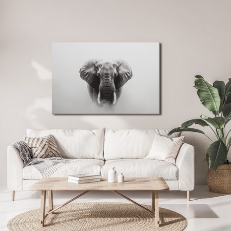 OBRAZ MAJESTÁTNÍ SLON V MLZE - OBRAZY SLONI - OBRAZY