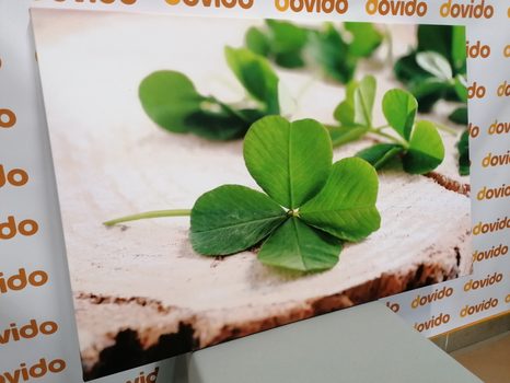 SLIKA ZELENE ŠTIRIPERESNE DETELJICE - SLIKE TIHOŽITJE - SLIKE