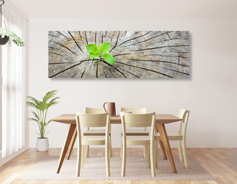 OBRAZ ZROD NOVÉHO ŽIVOTA - OBRAZY PŘÍRODY A KRAJINY - OBRAZY