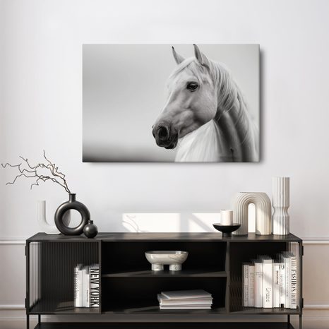 WANDBILD WEISSES PFERD IM NEBEL - BILDER VON PFERDEN - BILDER