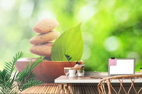 SELBSTKLEBENDE FOTOTAPETE ZEN-STEINE UND EIN BLATT IN DER SCHALE - SELBSTKLEBENDE TAPETEN - TAPETEN