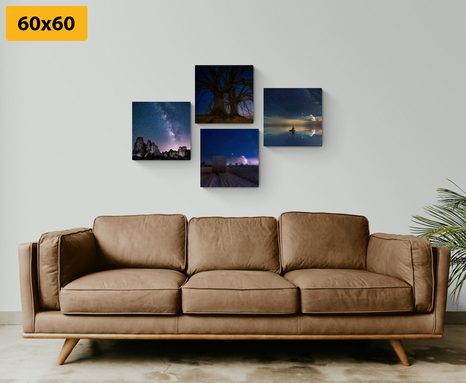 SET OBRAZOV TAJOMNÁ NOČNÁ PRÍRODA - ZOSTAVY OBRAZOV - OBRAZY